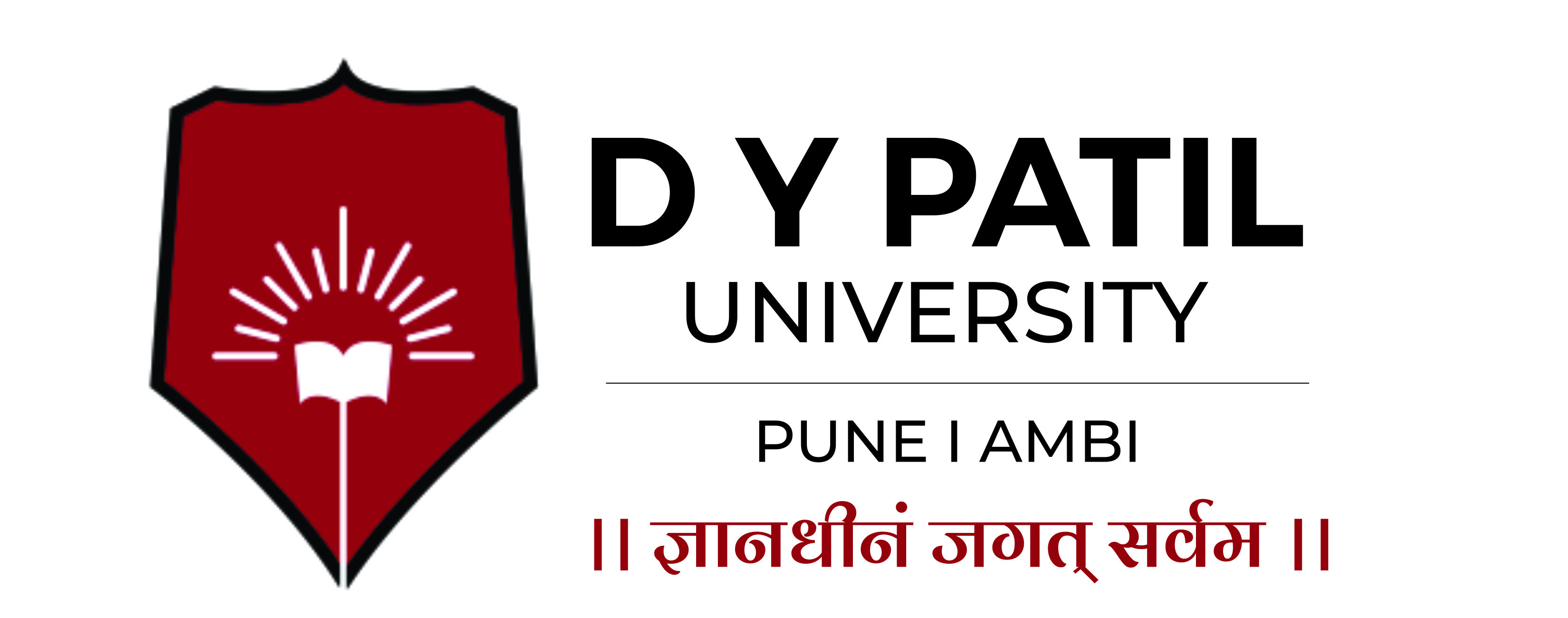 Dy Patil University